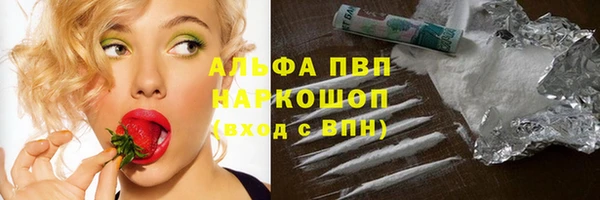 амф Аркадак