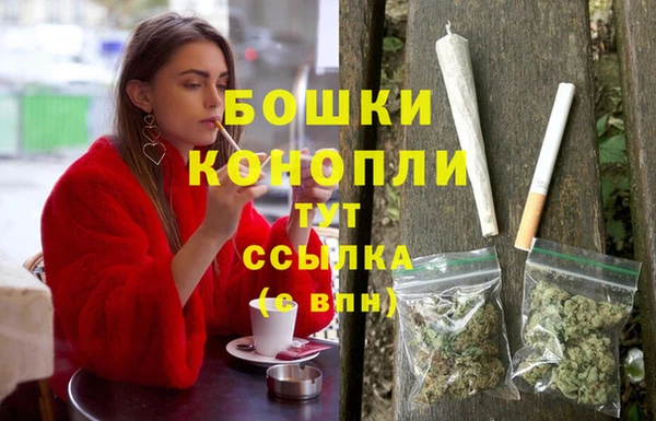 амф Аркадак