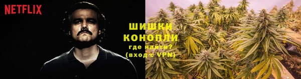 прущие грибы Армянск
