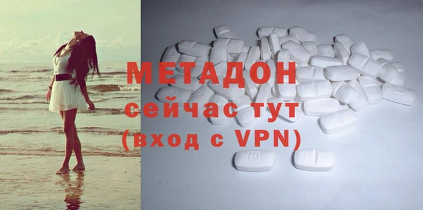 прущие грибы Армянск