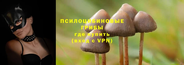 прущие грибы Армянск