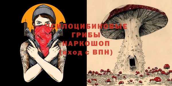 прущие грибы Армянск