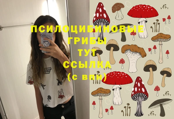 амф Аркадак