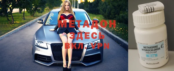 прущие грибы Армянск