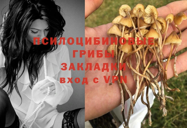 амф Аркадак