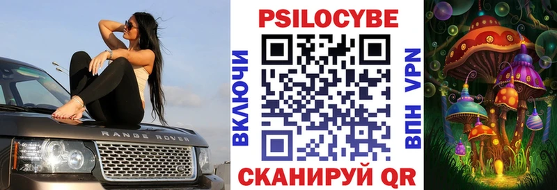 гидра сайт Феодосия Псилоцибиновые грибы Psilocybine cubensis